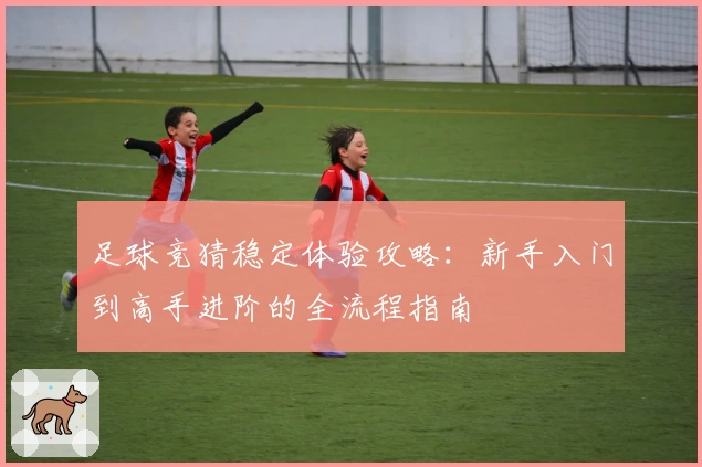 足球竞猜稳定体验攻略：新手入门到高手进阶的全流程指南