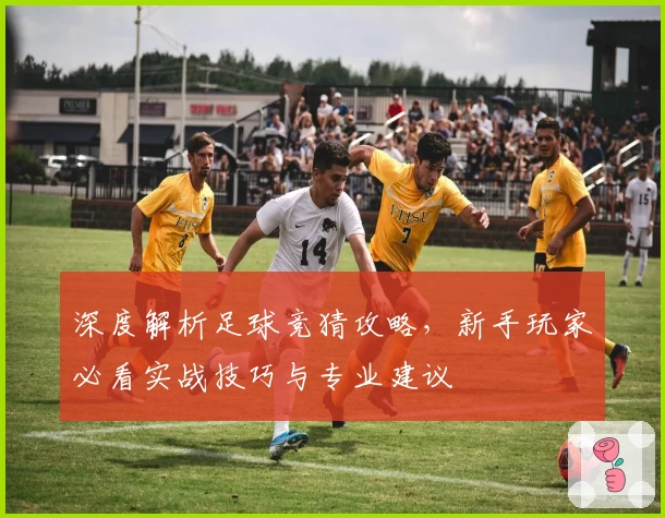 深度解析足球竞猜攻略，新手玩家必看实战技巧与专业建议