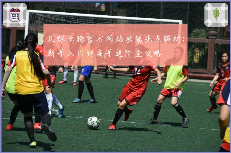足球竞猜官方网站功能亮点解析：新手入门到高手进阶全攻略